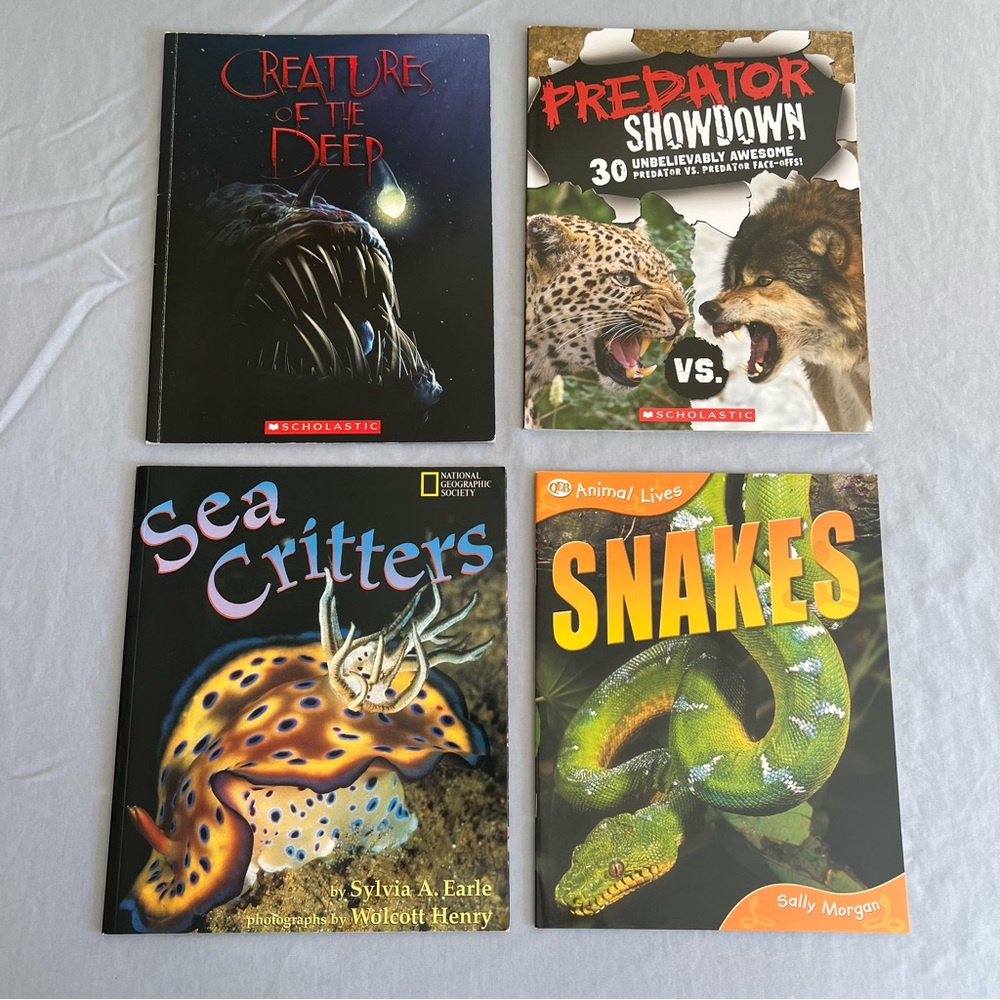 Set of 4 Books for Kids about Animals